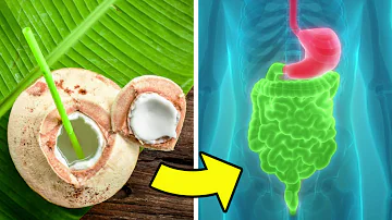 ¿Cuál es la diferencia entre la leche de coco y el agua de coco?