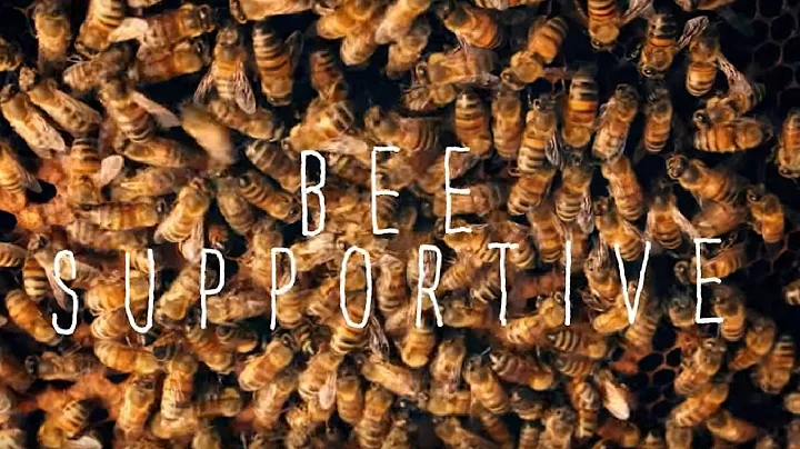 Tanya Phillips-- Bee Supportive
