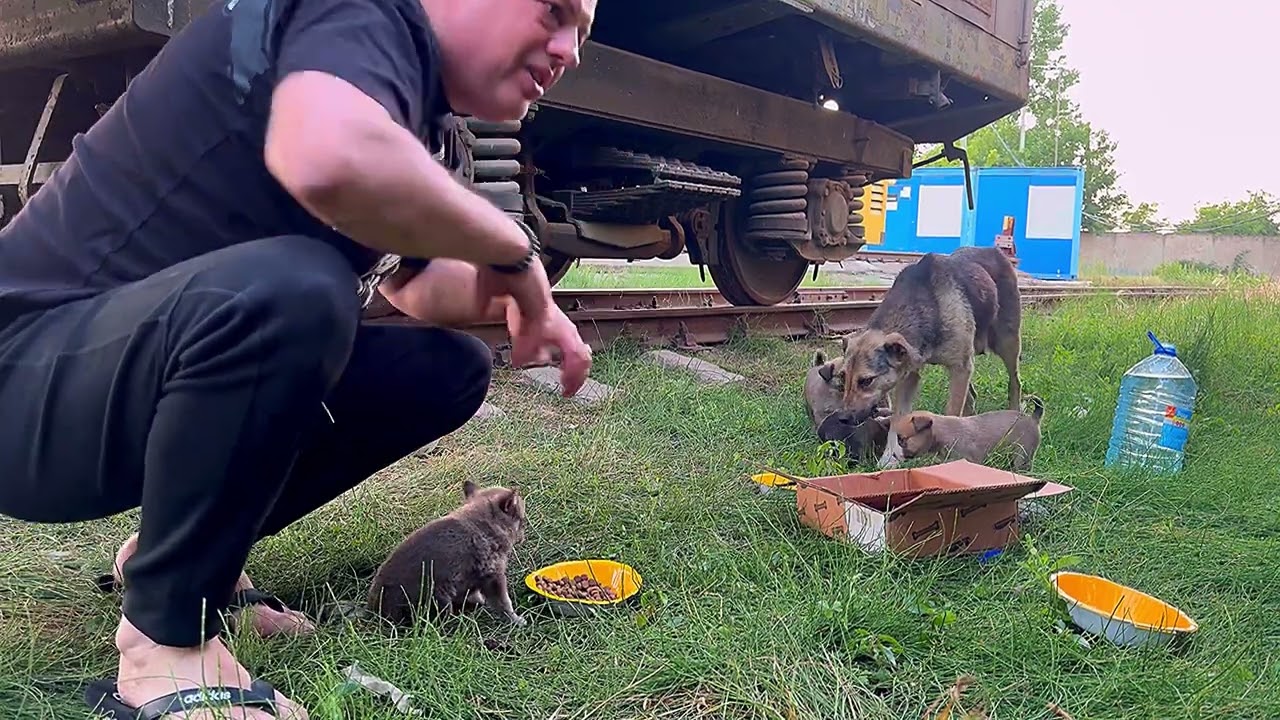 Have you seen what is happening around you?