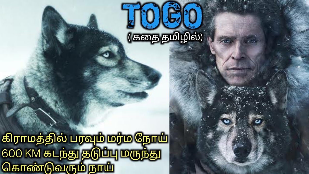 கொடூர புயலில் பயணம் ஒரு கிராமத்தை காப்பாற்றும் நாய்|Tamil Voice Over|Tamil Dubbed Movies|Tamil Movie