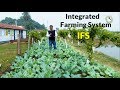 Integrated Farming System (IFS) | समेकित कृषि प्रणाली : वर्ष भर आमदनी का सुलभ ज़रिया