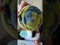 Earth day cookies colored with flowers and leaves(no artificial dye!)