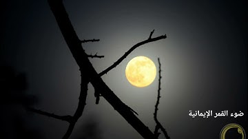 الشيخ زكي داغستاني سورة الدخان Sheikh Zaki Daghestani Surat Al-Dukhan