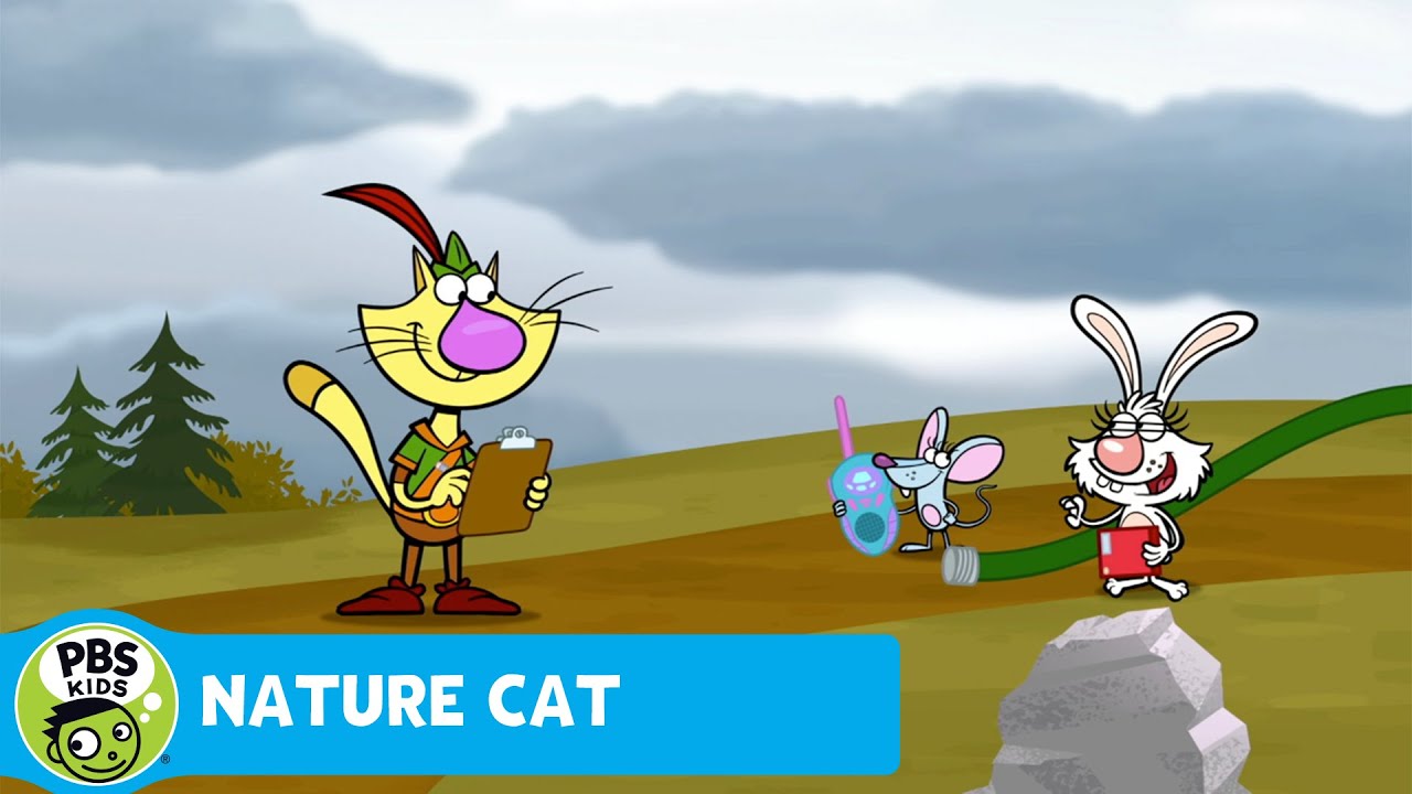 PBS Kids Nature Cat Games