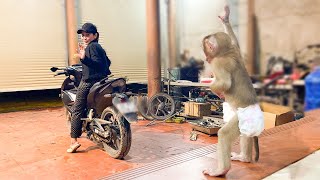 So Cute! Monkey YuYu obediently waits for mom to buy breakfast!