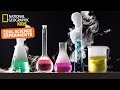 Understanding the Scientific Method