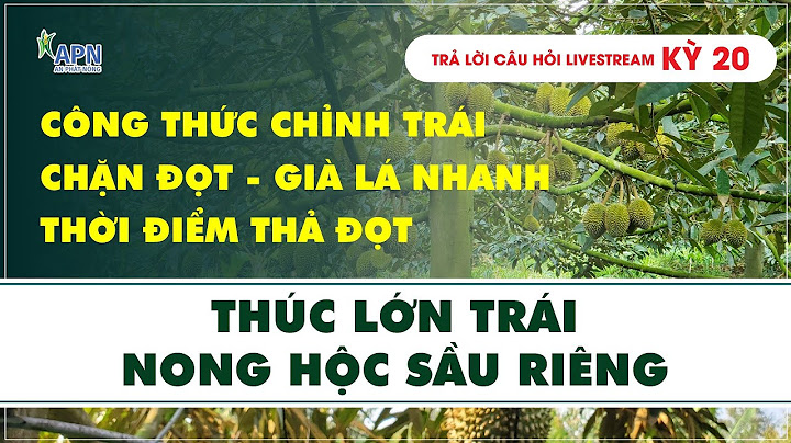 Cây sinh trưởng và phát triển được là nhỏ gì năm 2024