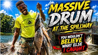 Catch Clean N Cook Drum Part 1!