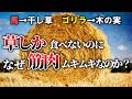 【雑学】なぜ人間は草を食べられないのか？【ゆっくり解説】