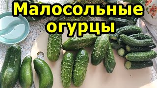 Малосольные огурцы на скорую руку. Малосольные огурцы быстрый рецепт Малосольные огурцы на скорую руку. Малосольные огурцы быстрый рецепт
