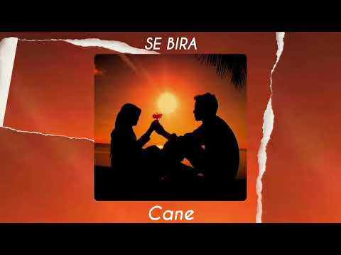 SE BIRA - Cane ( Speed Up )