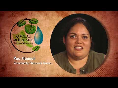 Ko'olau Mountains Watershed Partnership PSA