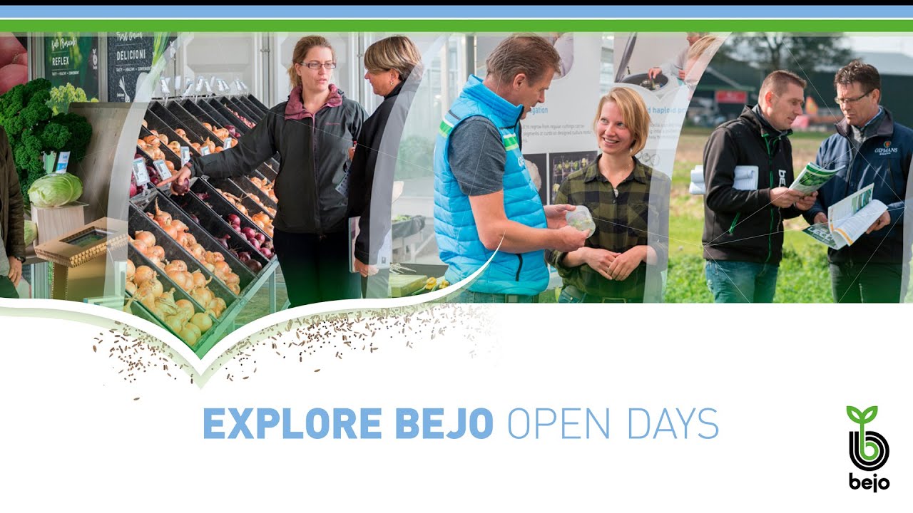 Explore Bejo Open Days