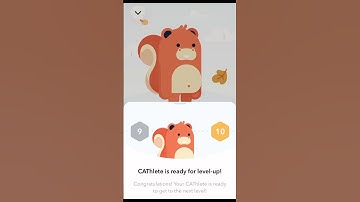 This is how level up looks 🤣🤣 #Walken_io #Walkandearn #WLKN #Cryptoworld #m2e #p2e #crypto