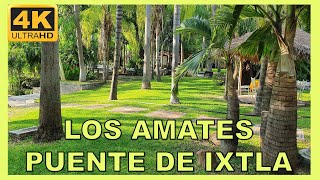 LOS AMATES - PUENTE DE IXTLA / 4K