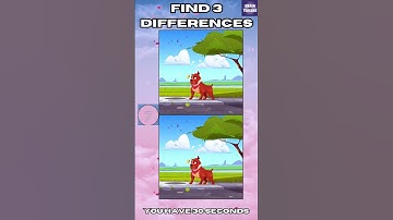 Spot The Difference: Find 3 Differences #7 #brainteaser  #spotthedifference