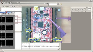 Open-Loop Target-to-Host Hardware in the Loop (HIL) Simulation Performance Test