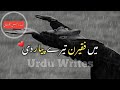 Main Faqeeran Tere Pyar Di Whatsapp Status|Nooran Sisters Status Song|UrduWrites| Whatsapp Status Video Download Free