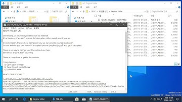 AppCheck Anti-Ransomware : Nemty v1.5 Ransomware (._NEMTY_{7-Digit Random}_) Block Video