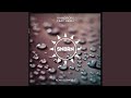 Miniature de la vidéo de la chanson Raindrops (Bitmore Remix)