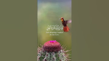 (والذين يقولون ربنا هب لنا من أزواجنا وذرياتنا قرة أعين)سورة آل عمران #سعد#الغامدي