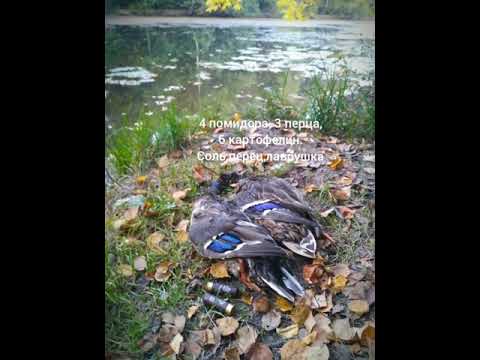 Шурпа из утки по деревенски