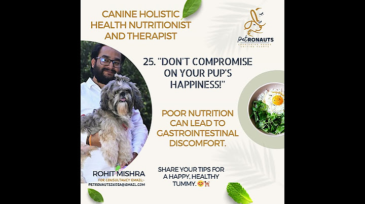 "Don't compromise on your pup's happiness!" #Petronauts #holisticpetcare #holistichealing