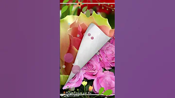 🌺 Красивой женщине красивые цветы!