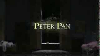 Bruce Steivel's Peter Pan Teaser 2014 / Bay Pointe Ballet