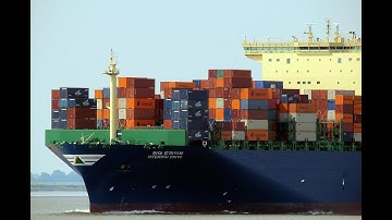 BÌNH MINH TRÊN CẢNG BIỂN