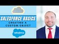 Salesforce basics creating a custom object