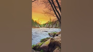 #تلاوة#خاشعه# من- الذكر#الحكيم#