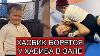 Хасбик у Хабиба в зале. БОРЬБА. СПАРРИНГ