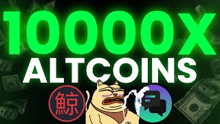 CHEAP ALTCOINS TO TURN $1K INTO $1M FAST