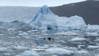 Glaciers: a poem cycle (Trailer)