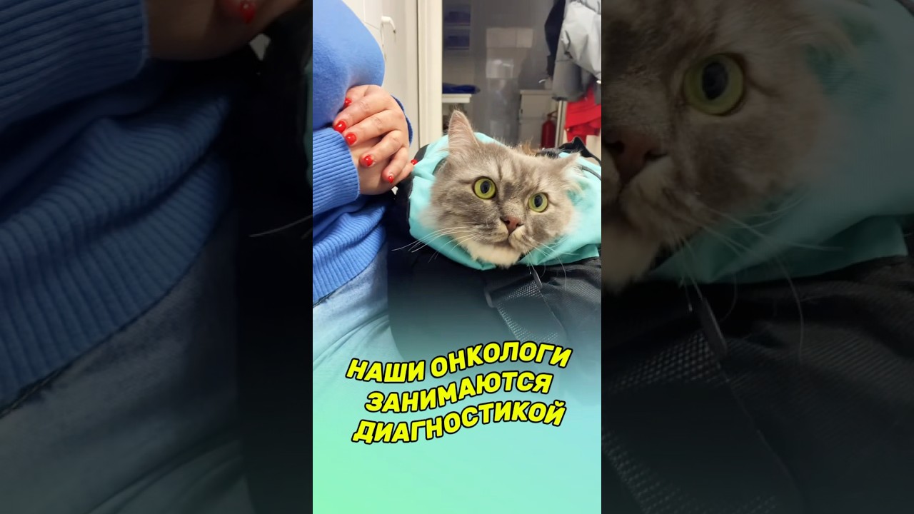 Проверьте своего питомца и будьте спокойны за его здоровье! 🐈♥️ #ветеринарныйврач #животные #помощь