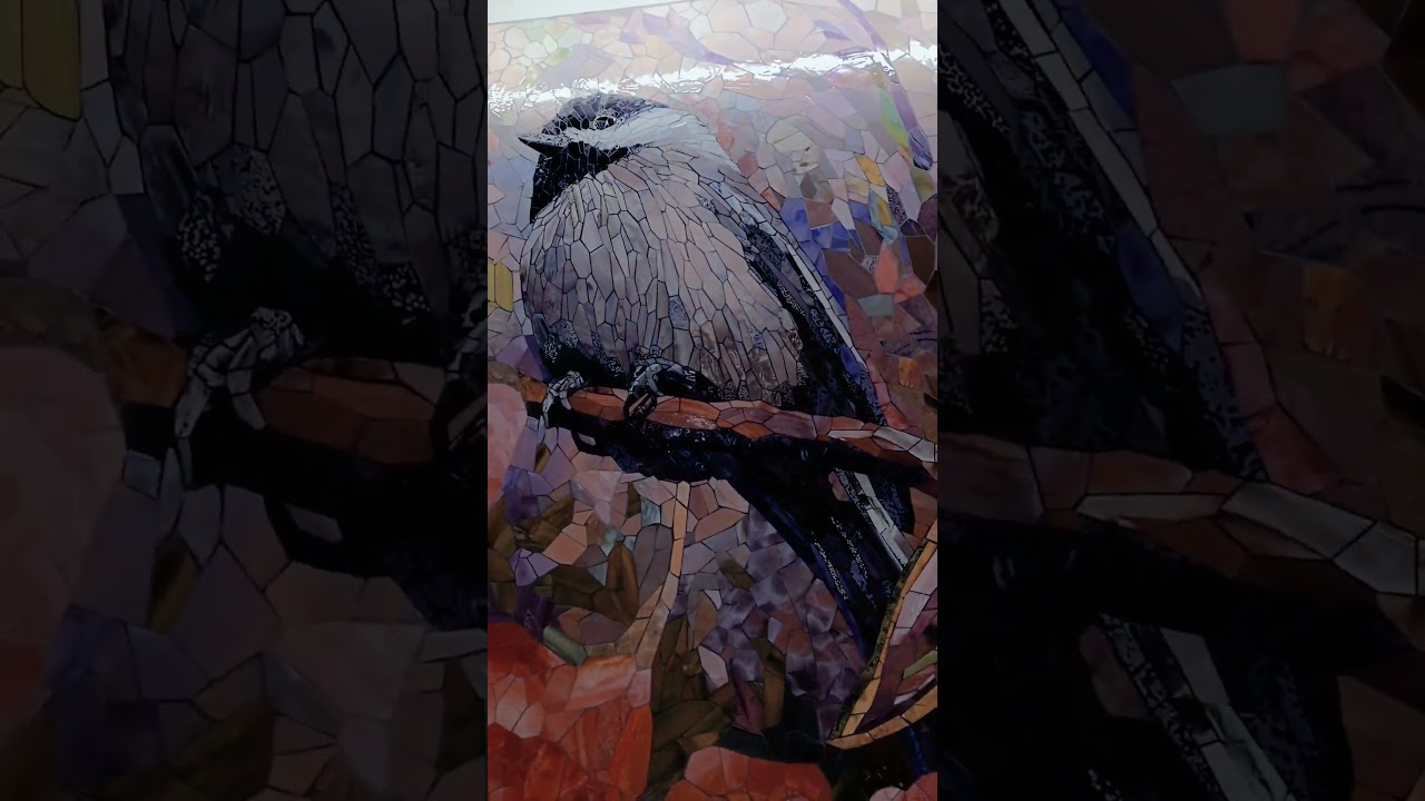 The Birds and the Bees 🐝 🐦 