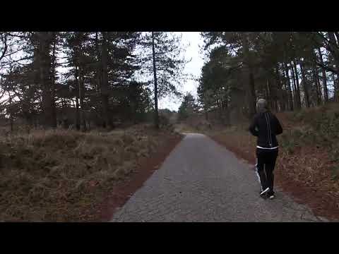Zandvoort aan Zee virtual bike ride through Kennermerland National Park, Netherlands. part 1