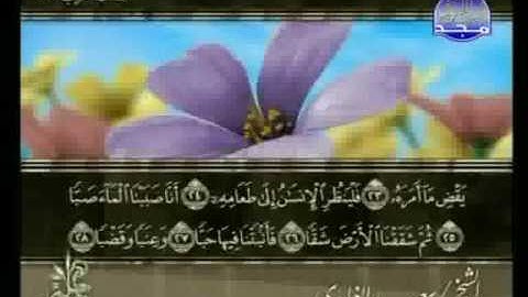 سورة عبس سعد الغامدي swrah abasa. saad alghamdi