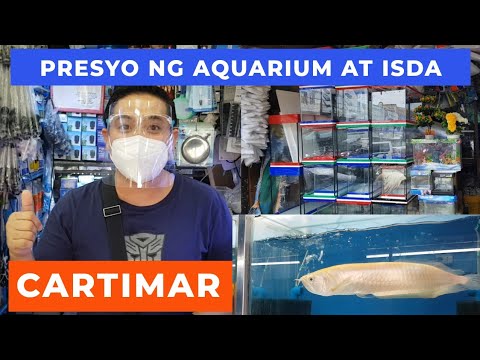 Video: Paano Pumili Ng Isda At Aquarium Kapag Bumibili