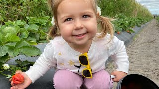 2 Year Old Picks Strawberries