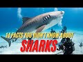 14 Facts about Sharks That May Surprise You