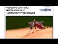 Webinar: An IPM Approach to Mosquito Control