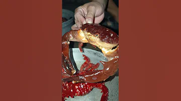 Seafoods Lover Be Like 