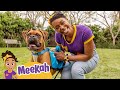 Meekah Plays with Puppies Makes a Fur-Ever Friend | Blippi &amp; Meekah Kids TV