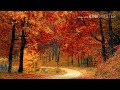 Alaigalaadum kadalil karayai kaatuvean-alwin Thomas Whatsapp Status Video Download Free