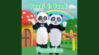 Zumba Panda