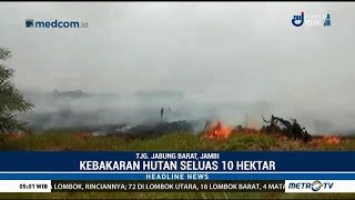 10 Hektare Lahan Perkebunan Sawit di Tanjung Jabung Barat Terbakar