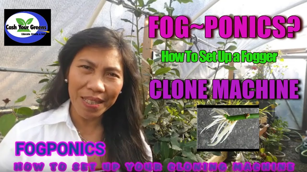 FOGPONICS - HOW TO SET UP A FOGGER CLONING MACHINE. EASIEST METHOD OF PROPAGATION