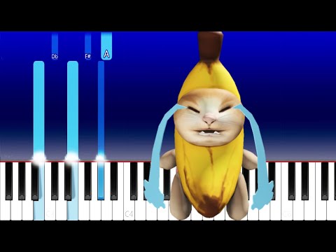 BANANA CAT ACCIDENT - HAPPY HAPPY (Piano Tutorial)